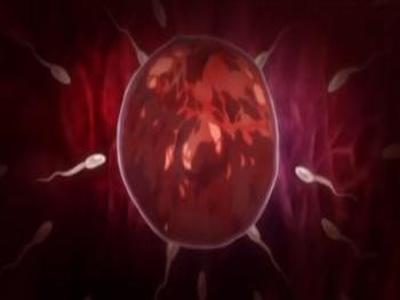 Thumbnail of post image 139